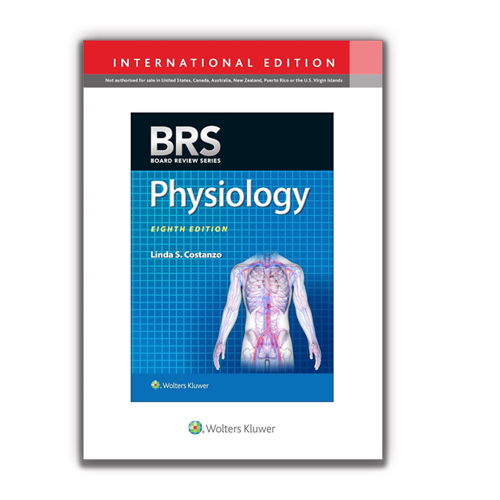 48 48