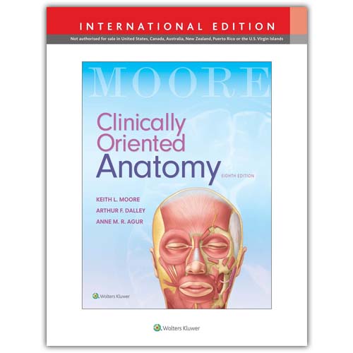 moore cx anatomy moore cx anatomy
