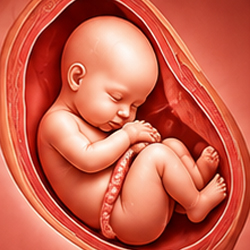 Obstetrics & Gynecology