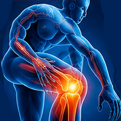 Orthopedics