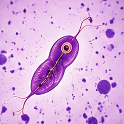 Parasitology