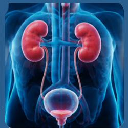 Urology