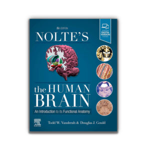 80